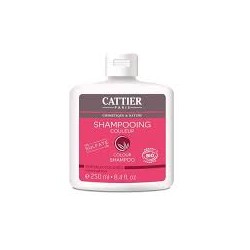 CATTIER SHAMPOOING COULEUR