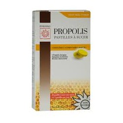 DAYANG PROPOLIS PASTILLES A...